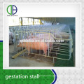 Hot Dip Galvanzie Pipe Pig Gestation Livestock Pig